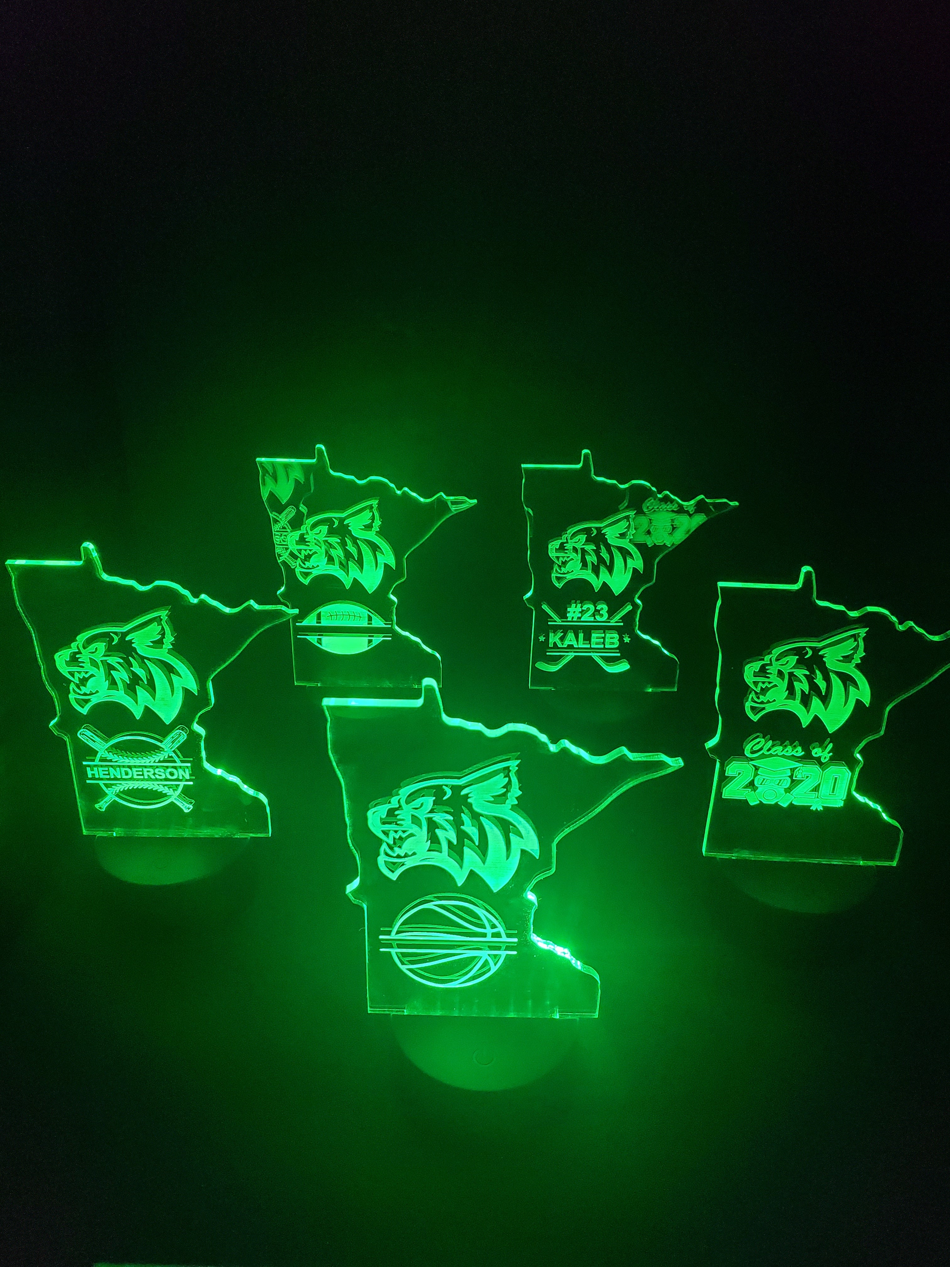 MINI LEDs (Customizable)