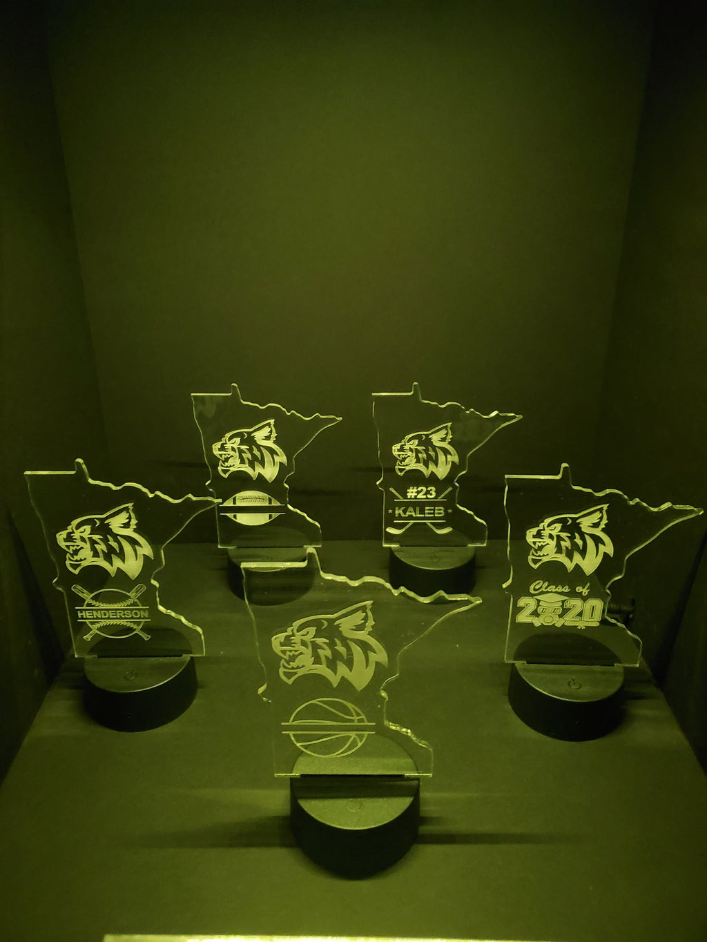 MINI LEDs (Customizable)