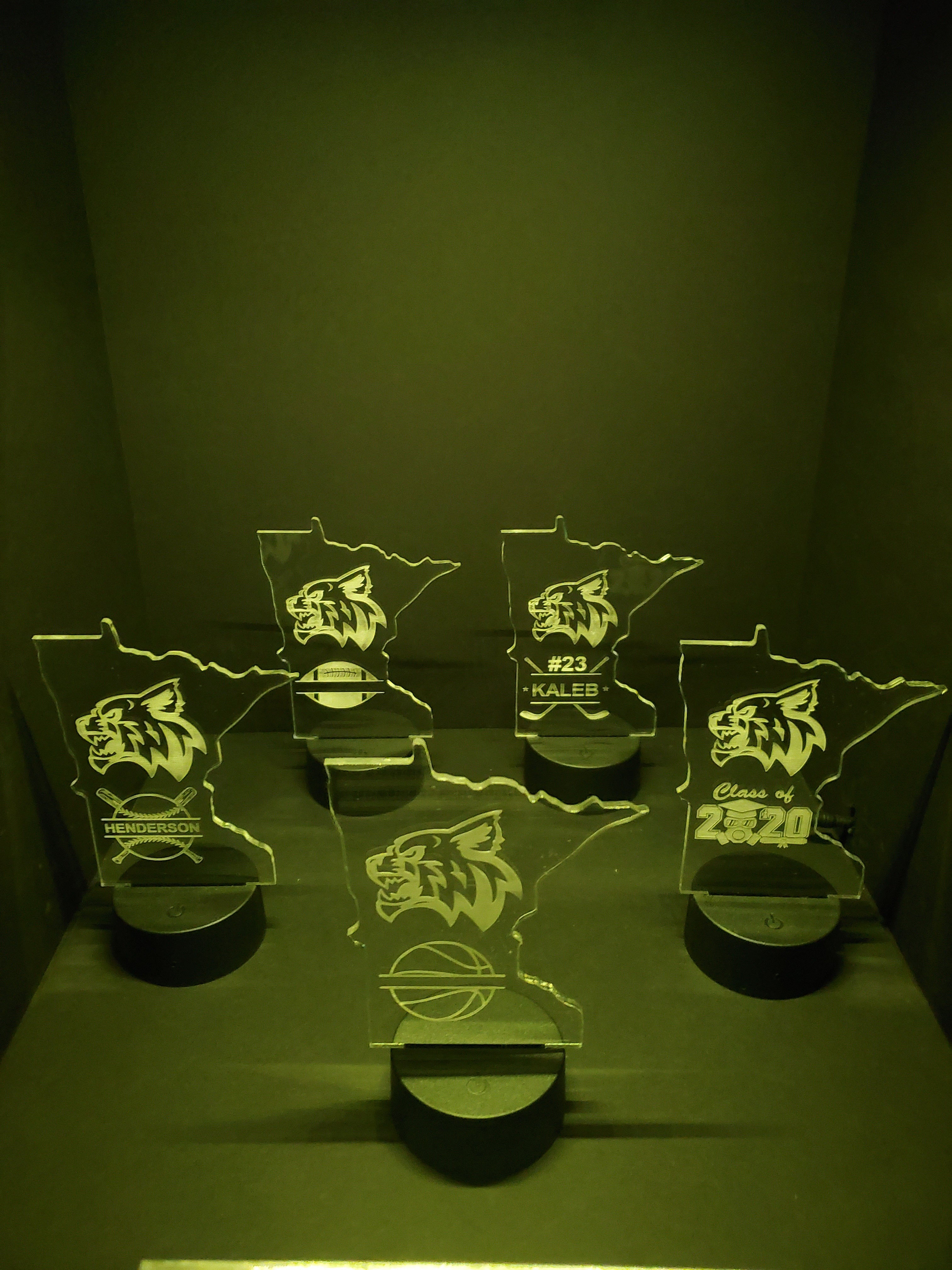 MINI LEDs (Customizable)