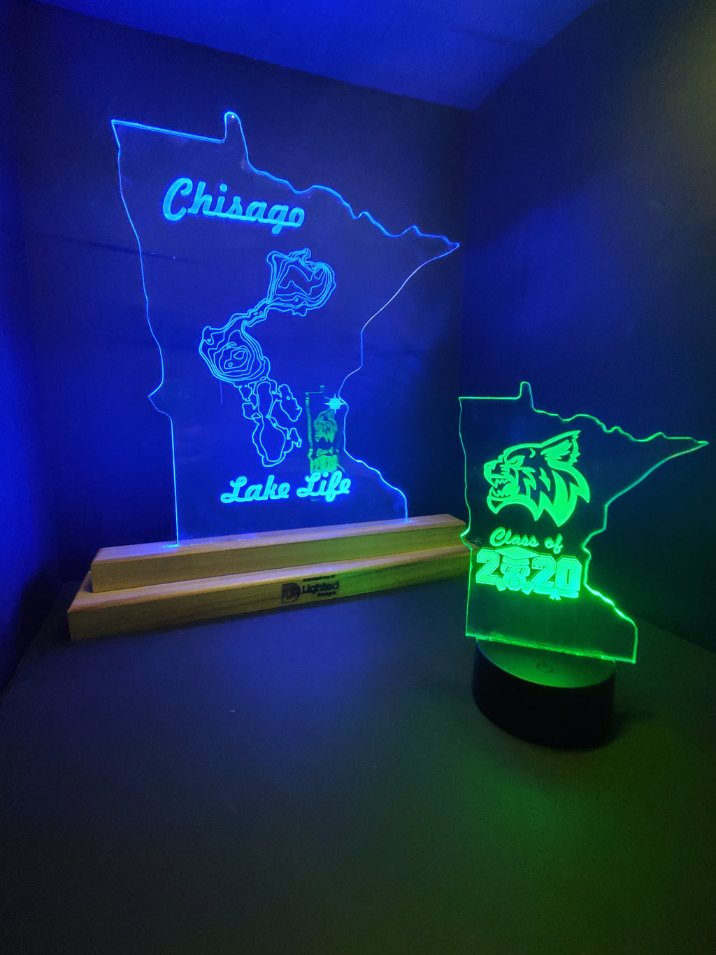 MINI LEDs (Customizable)