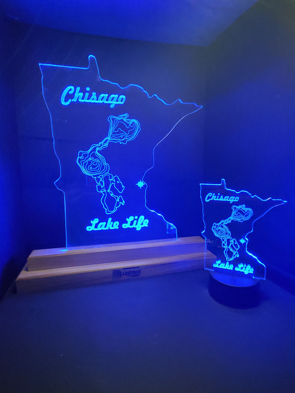 MINI LEDs (Customizable)
