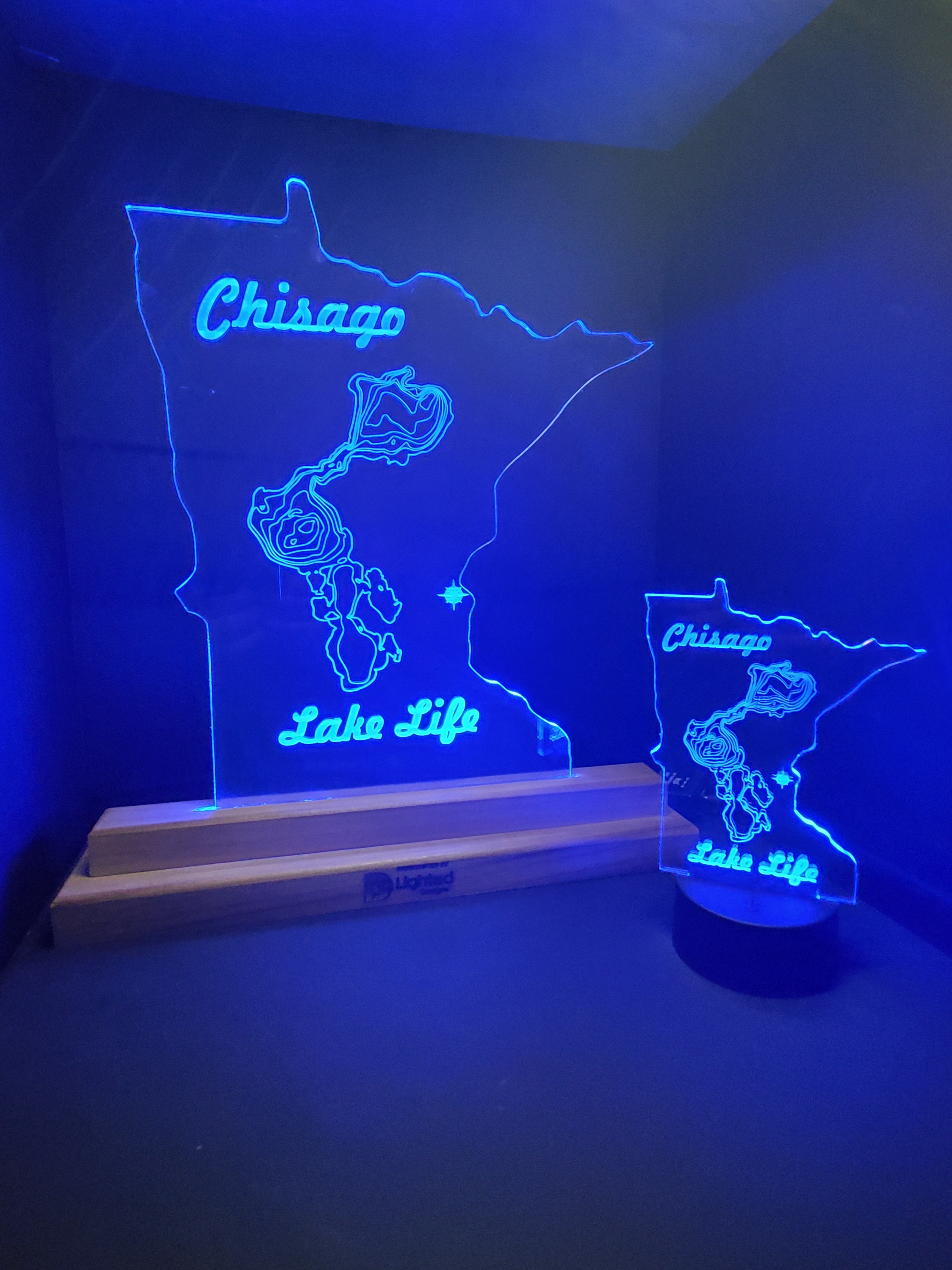 MINI LEDs (Customizable)