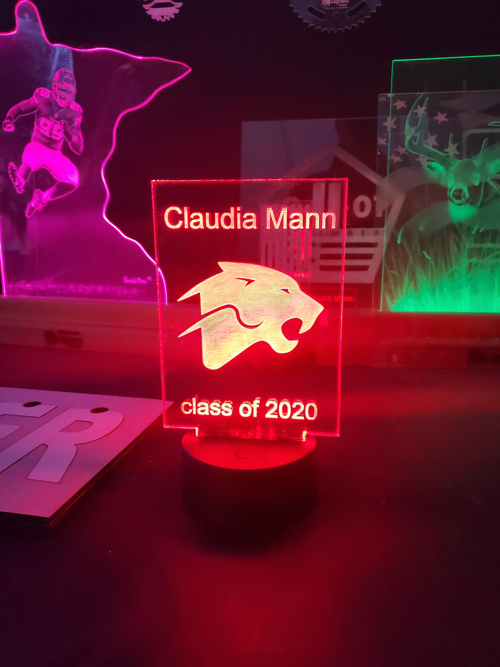 MINI LEDs (Customizable)