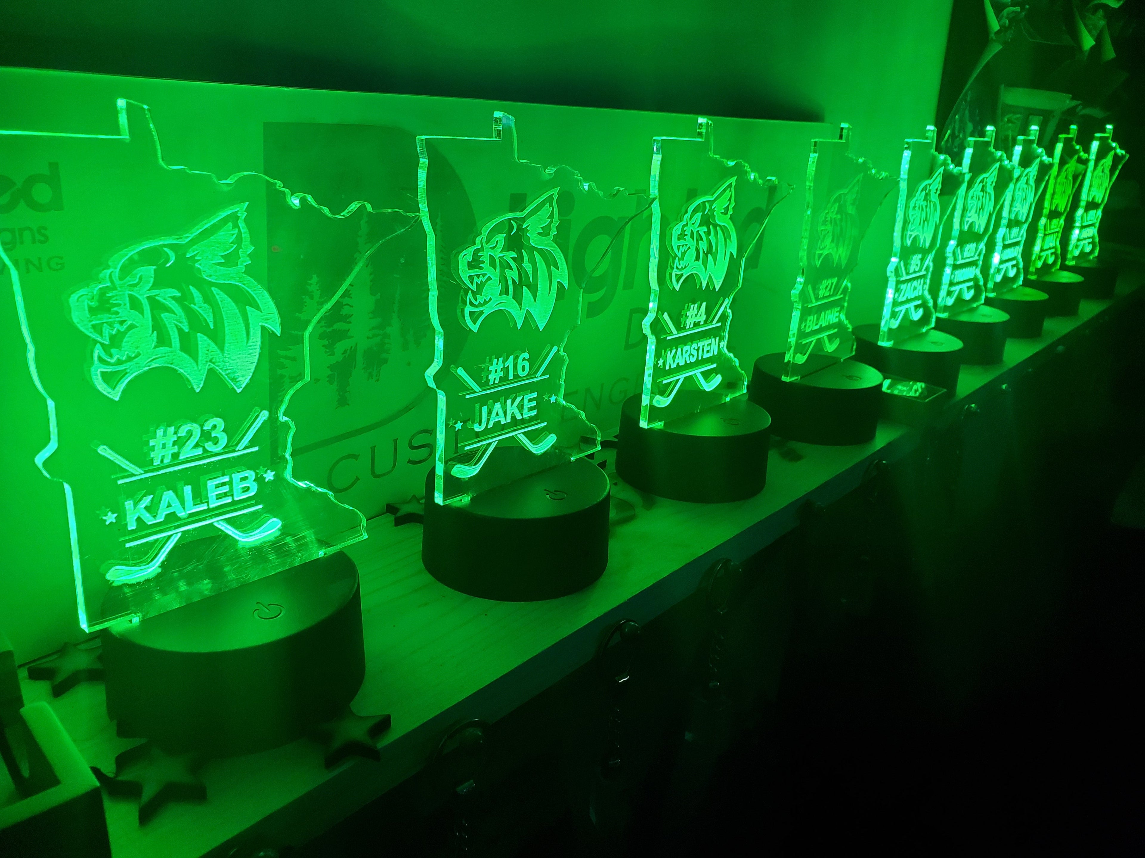 MINI LEDs (Customizable)