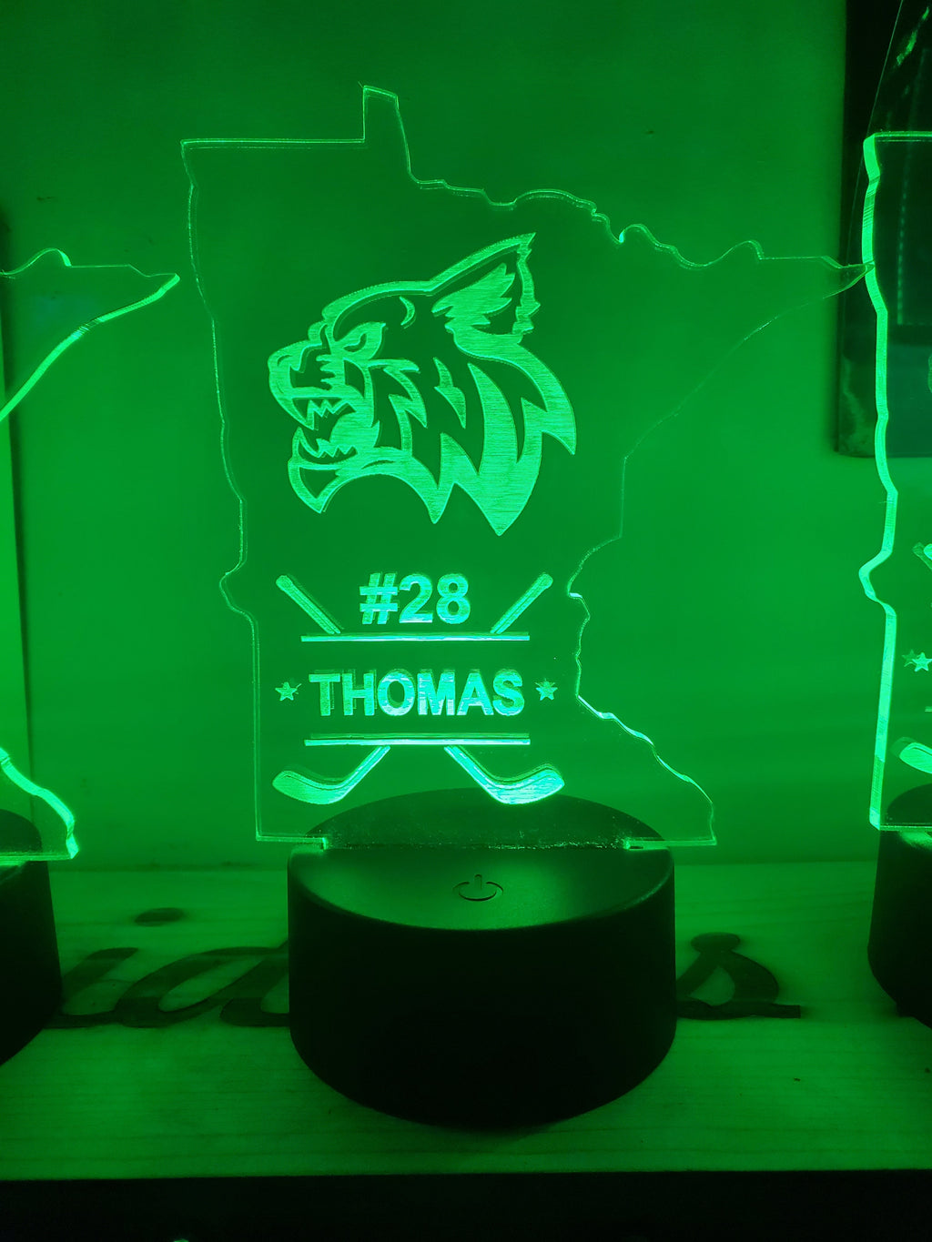 MINI LEDs (Customizable)