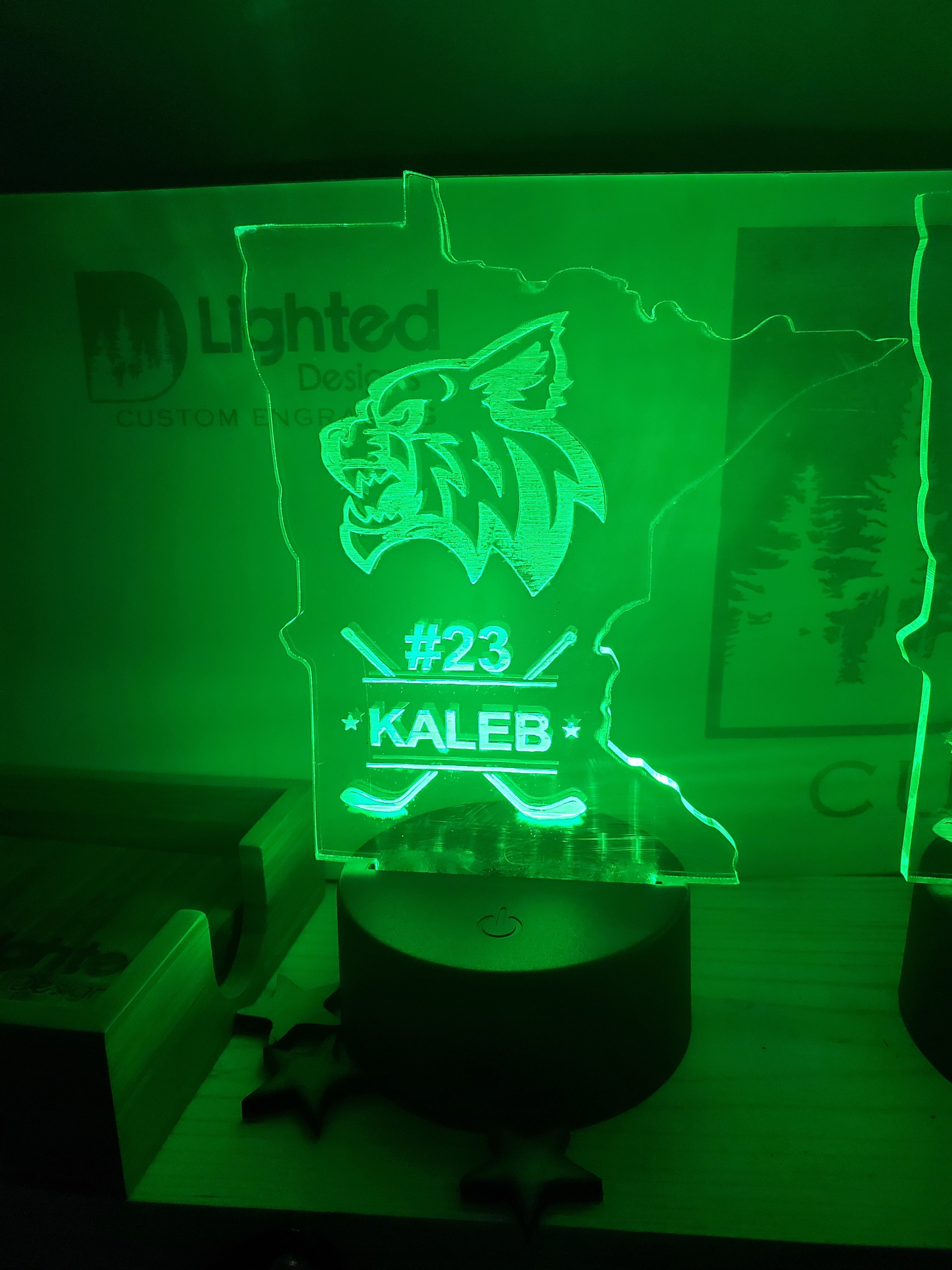 MINI LEDs (Customizable)