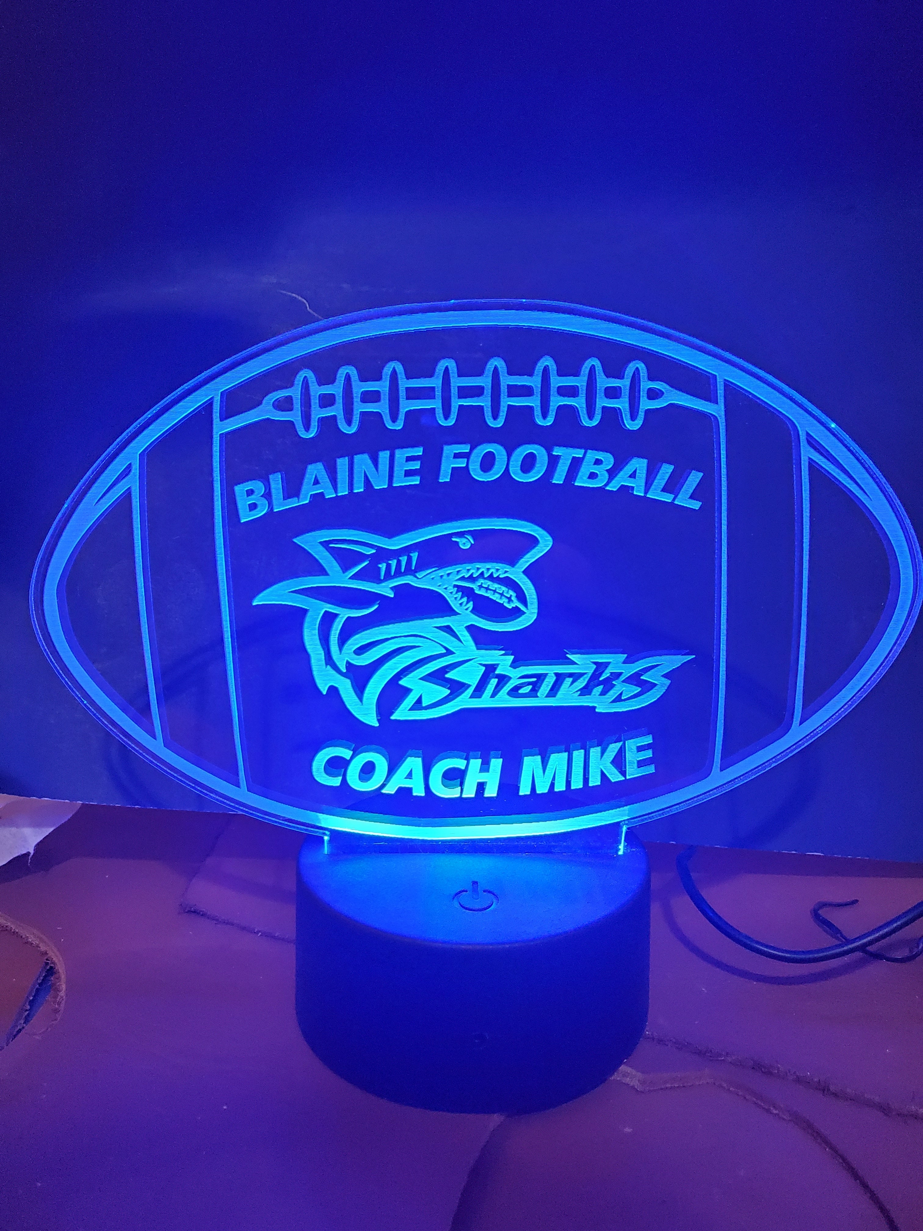 MINI LEDs (Customizable)