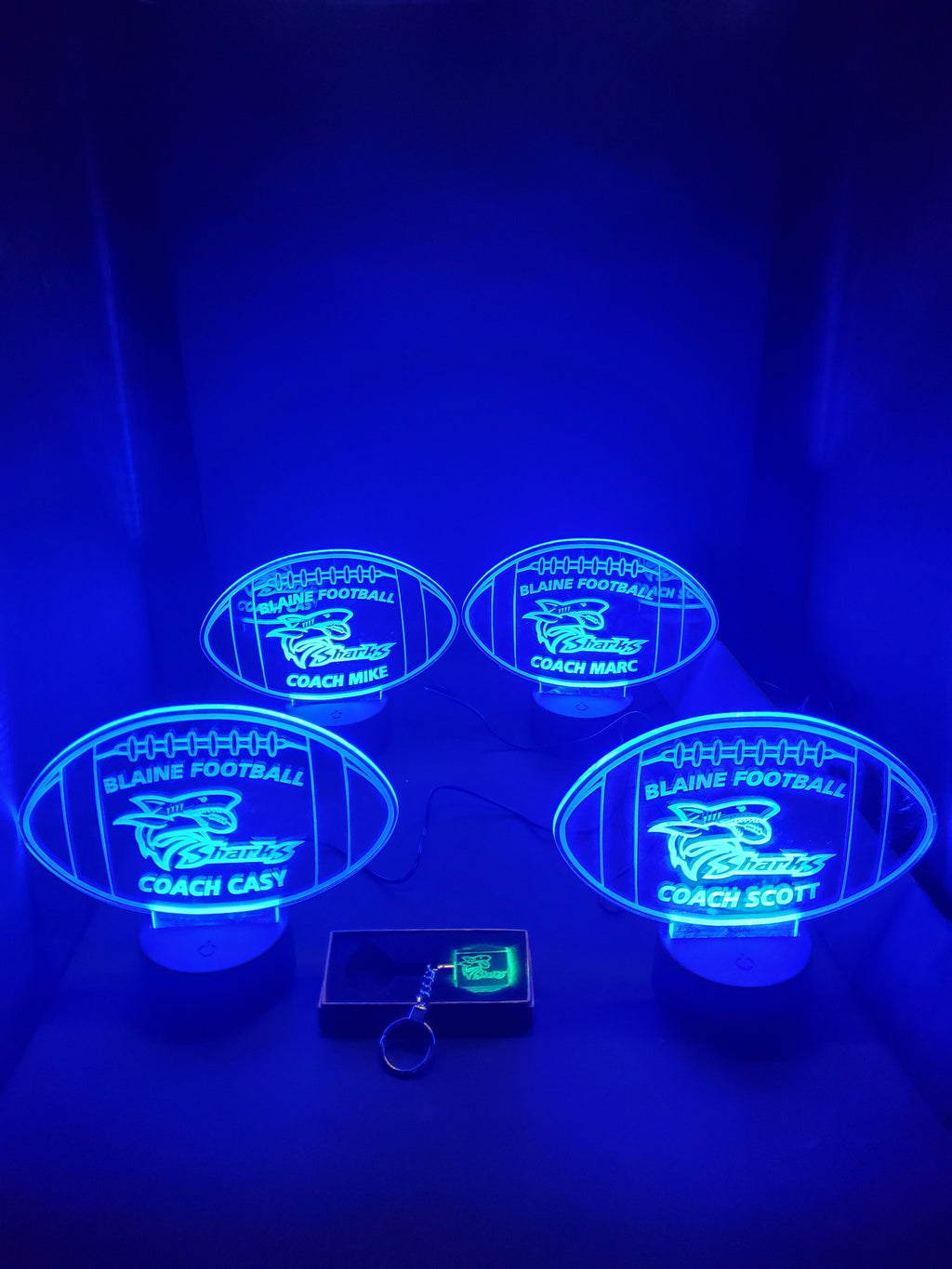 MINI LEDs (Customizable)