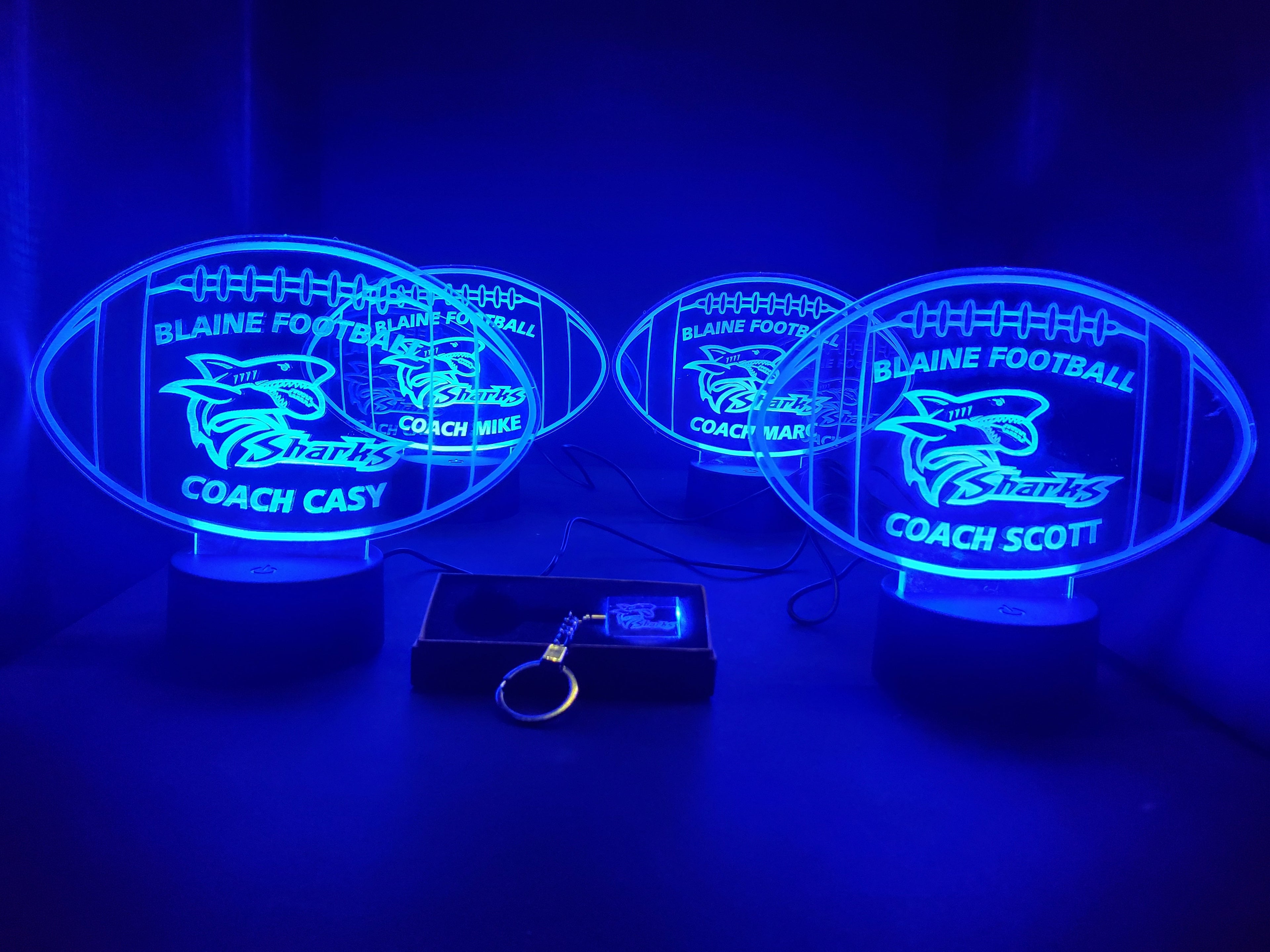 MINI LEDs (Customizable)