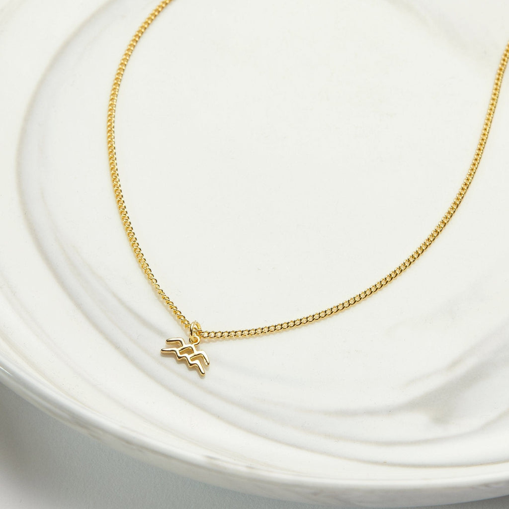 February 1st Aquarius Necklace