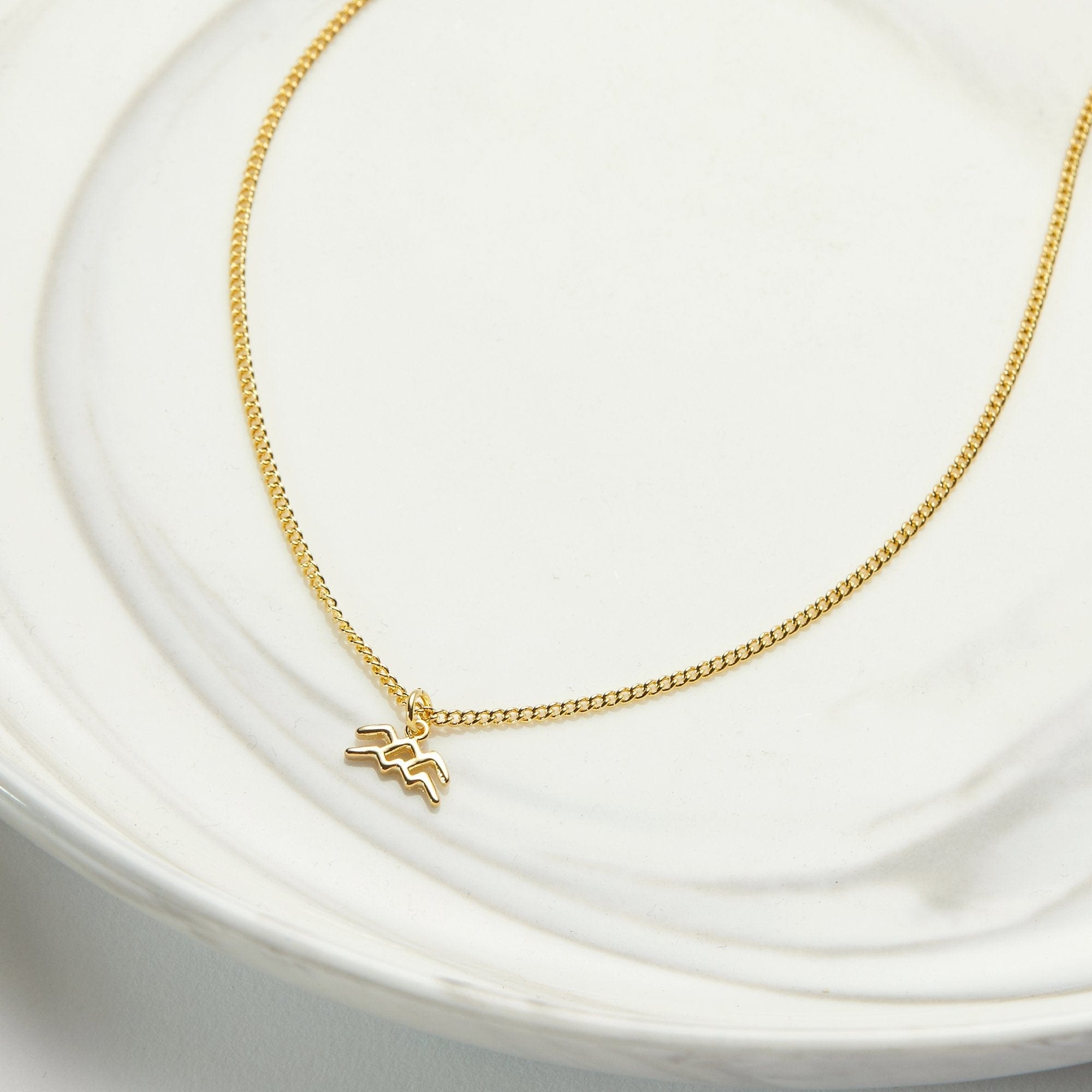 February 1st Aquarius Necklace